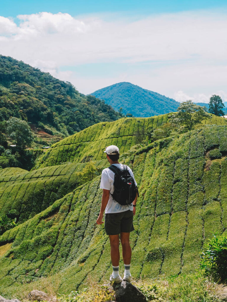 The best 3 day 2 night Cameron Highlands itinerary