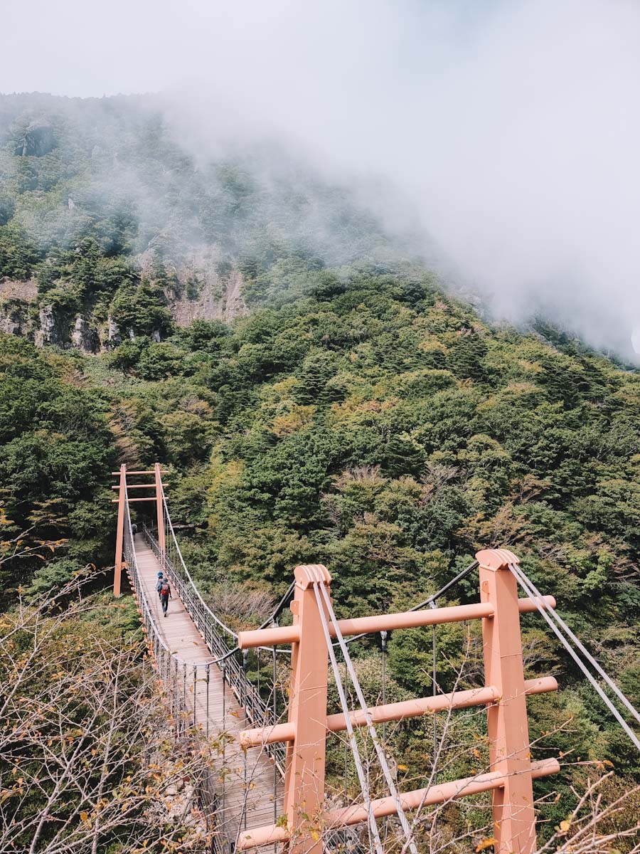 Mt Hallasan hike trail