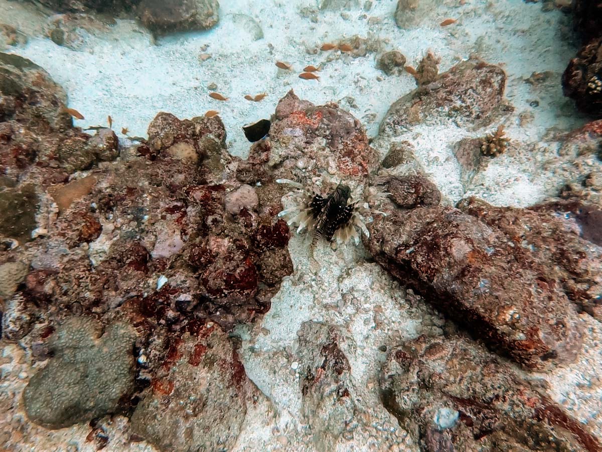 Diving and Snorkelling on Pulau Weh Indonesia