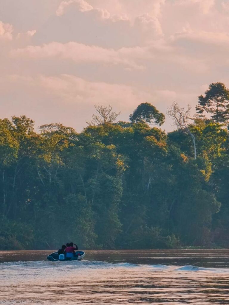 Kinabatangan River, Sabah, Borneo, Malaysia