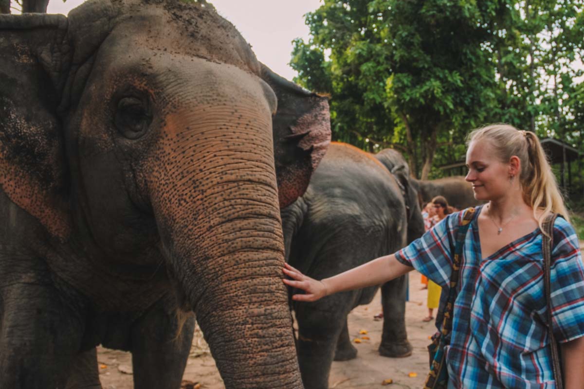 Maerim Elephant Sanctuary a honest review