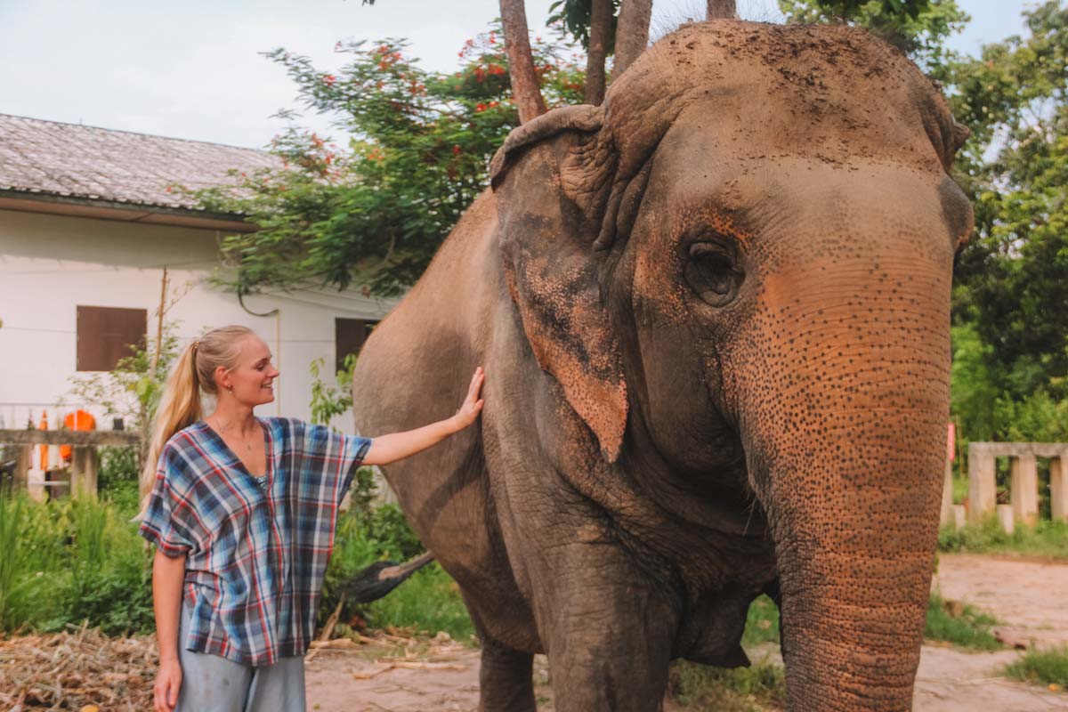 Maerim Elephant Sanctuary a honest review