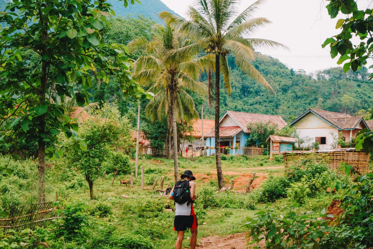 Walking through palmtrees in Nong Khiaw