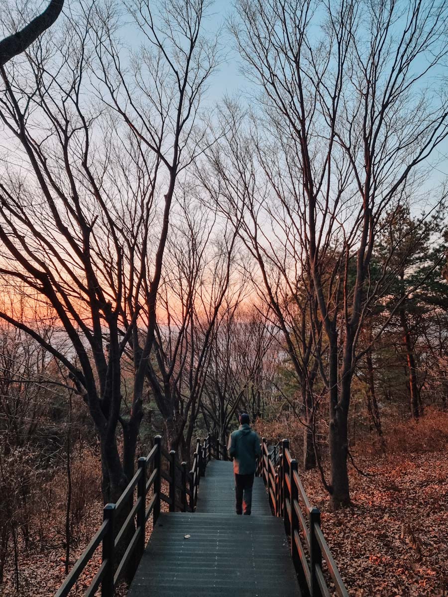 Walking down the wooden stairs of Ansan mountain in Seoul