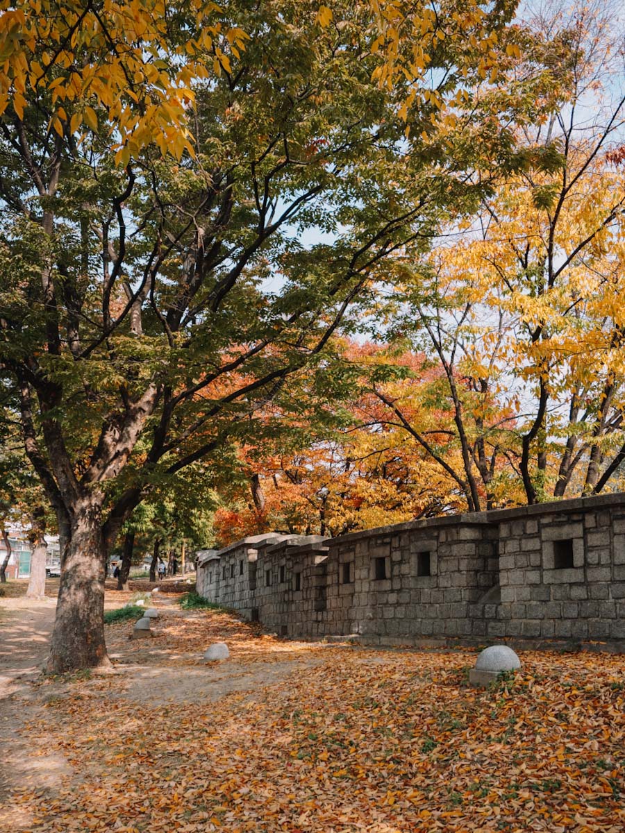 Naksan park, Seoul during autumn