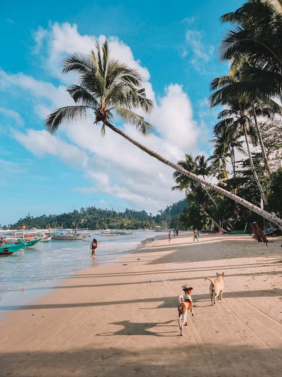 Tay Tay Beach, Port Barton, Palawan