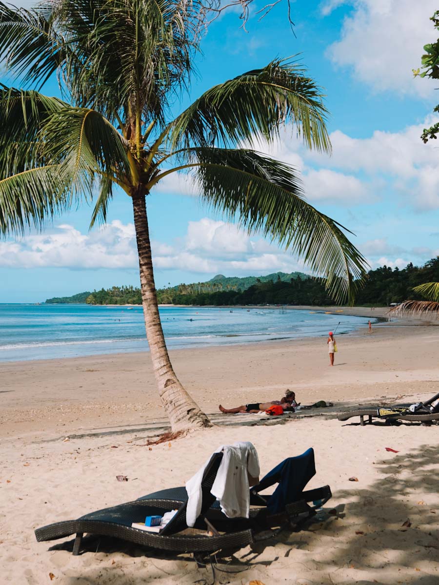 Palmtree and beach beds at Lio beach near El Nido