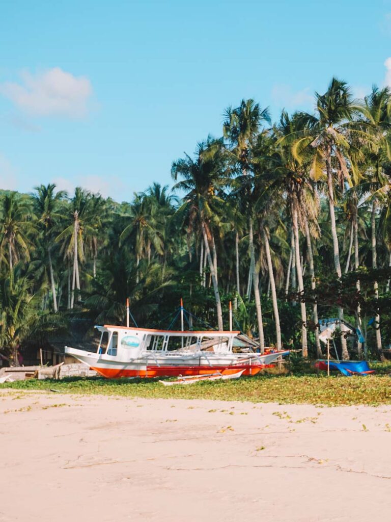 Boats on Nacpan beach with palmtrees in the background