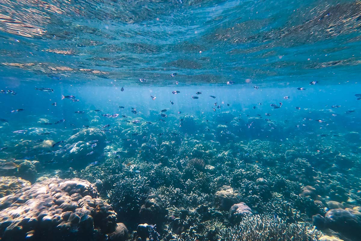 Siete Pecados in Coron